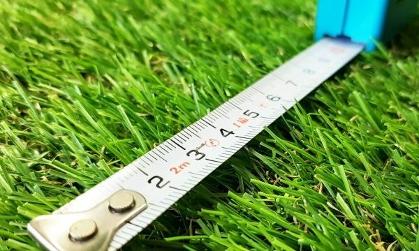 お気楽予想の思考「単勝60倍マリオロードに◎を打てた訳」