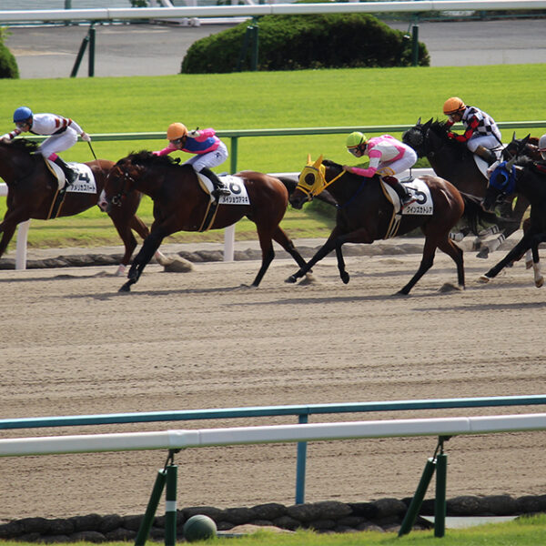 2019年11月10日「福島放送賞」福島ダ1700mの馬券術